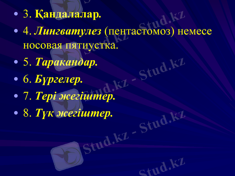 Slide 43