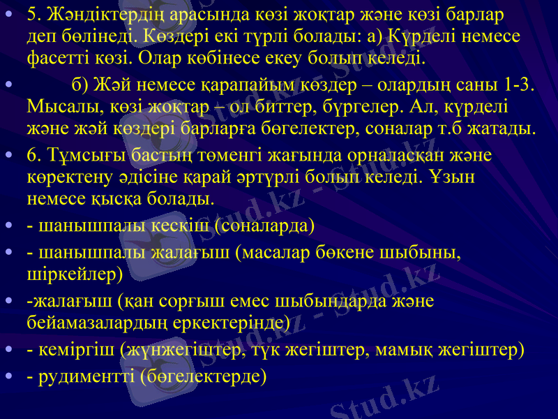 Slide 7