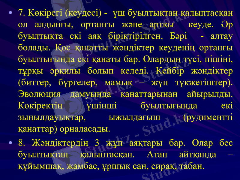 Slide 8