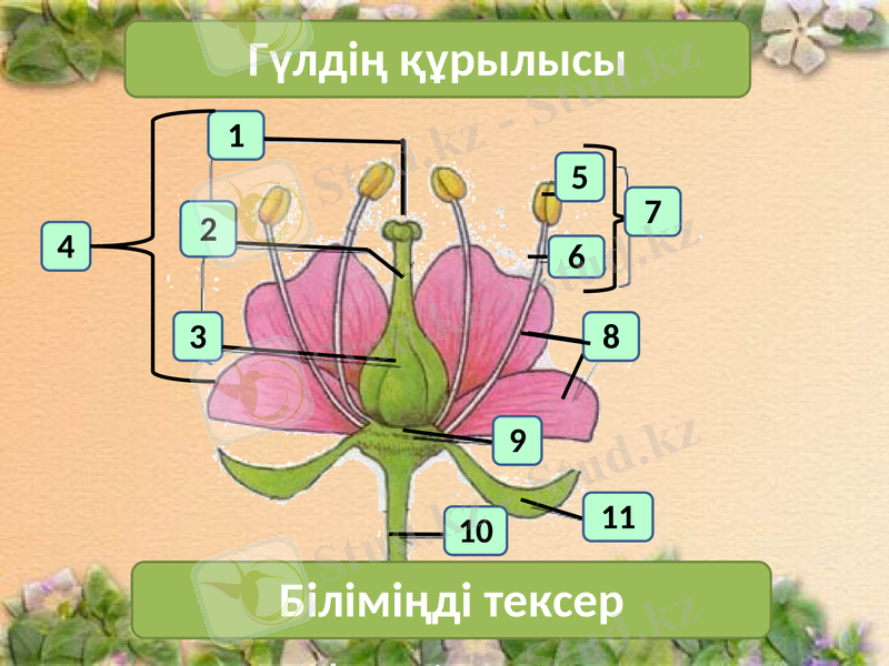 Slide 10