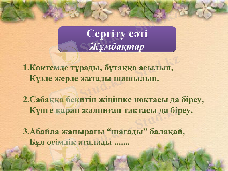 Slide 11