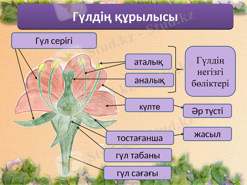 Slide 3
