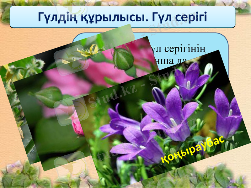 Slide 5