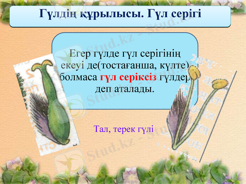 Slide 7