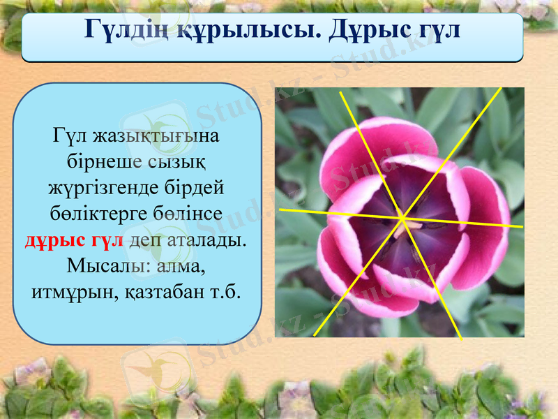 Slide 8