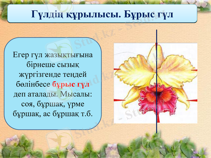 Slide 9
