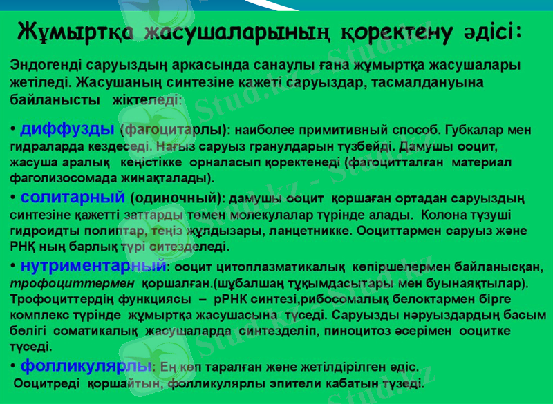 Slide 10