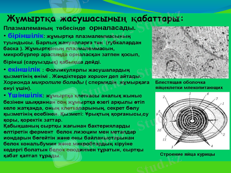 Slide 6