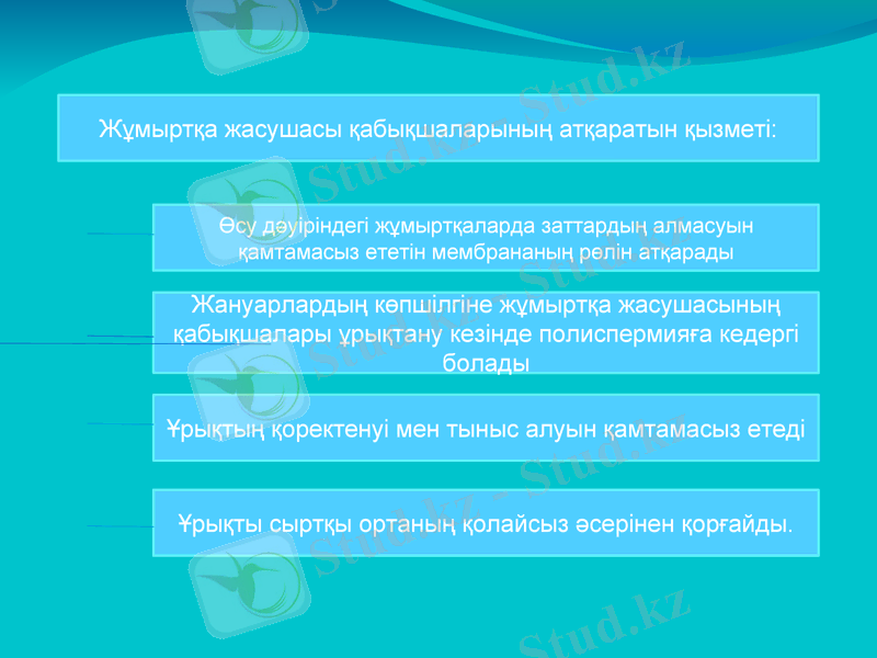 Slide 7