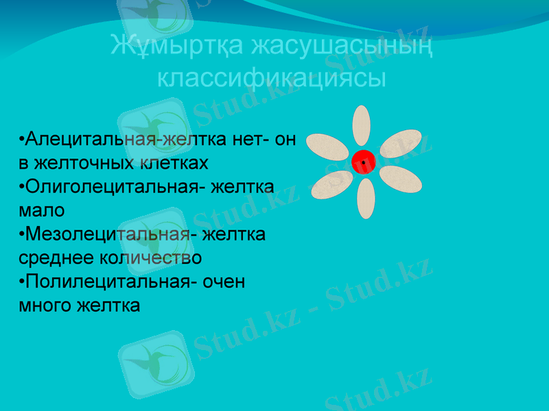 Slide 8