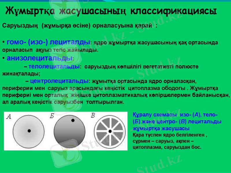 Slide 9