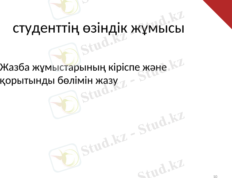 Slide 10