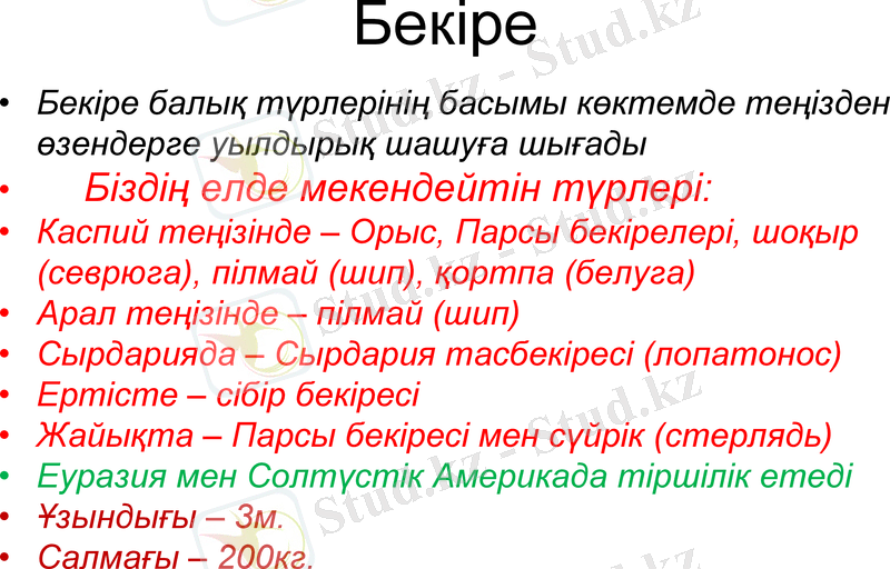 Slide 10