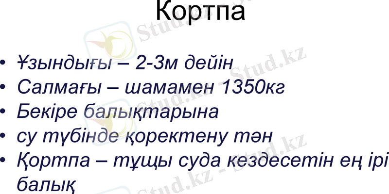 Slide 12