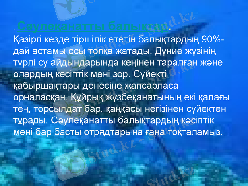 Slide 14