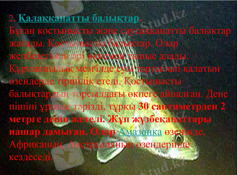 Slide 15