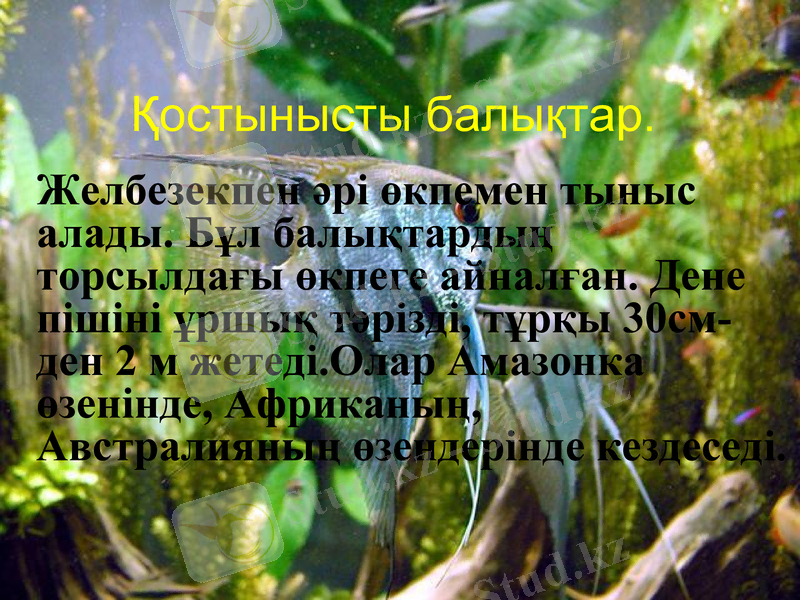 Slide 16