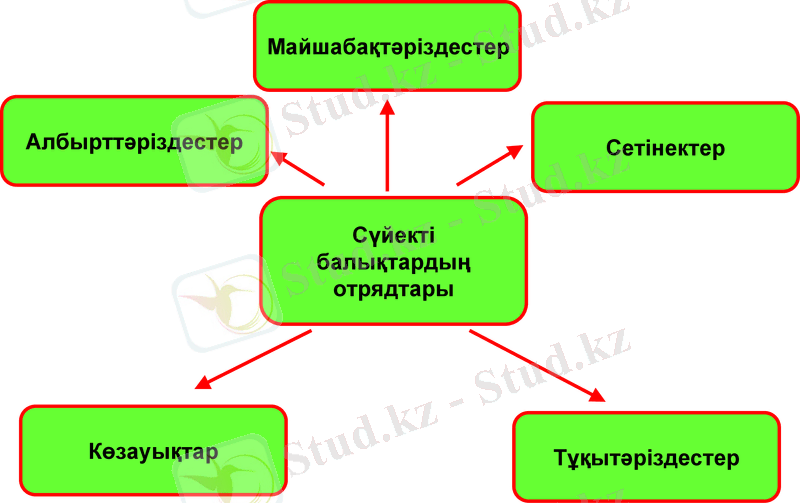 Slide 18