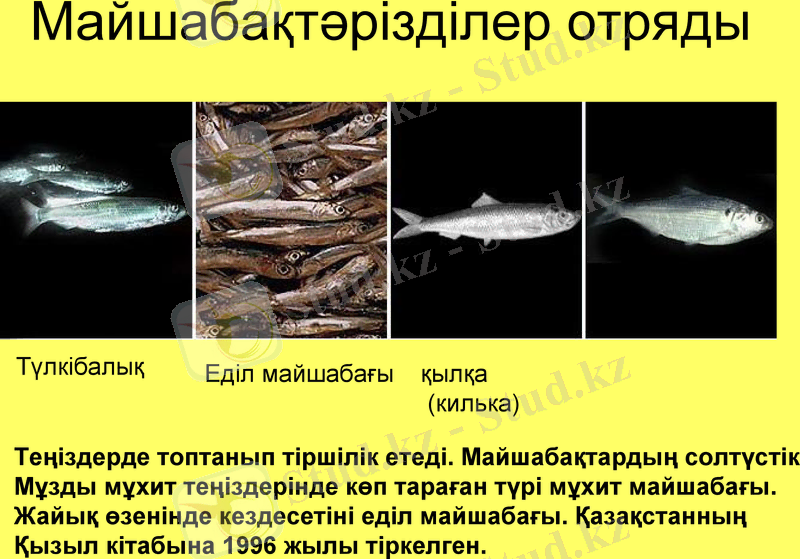 Slide 19