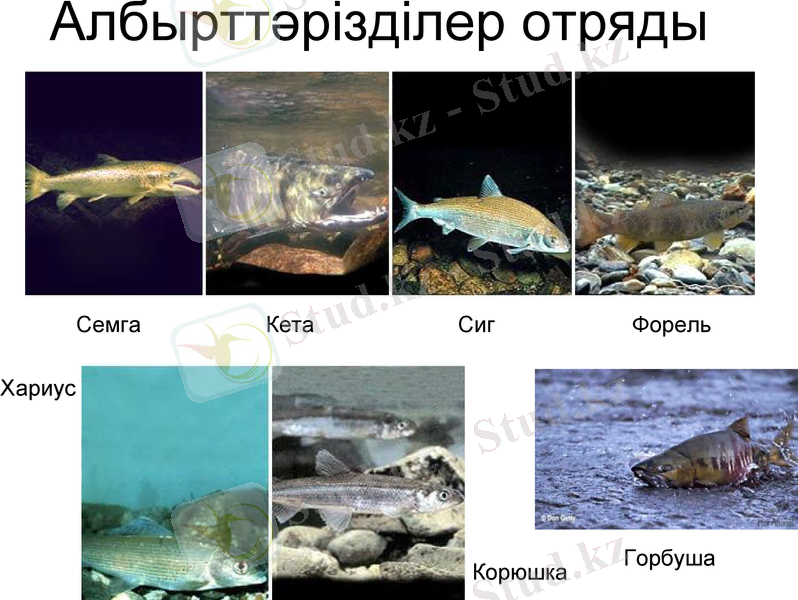 Slide 21