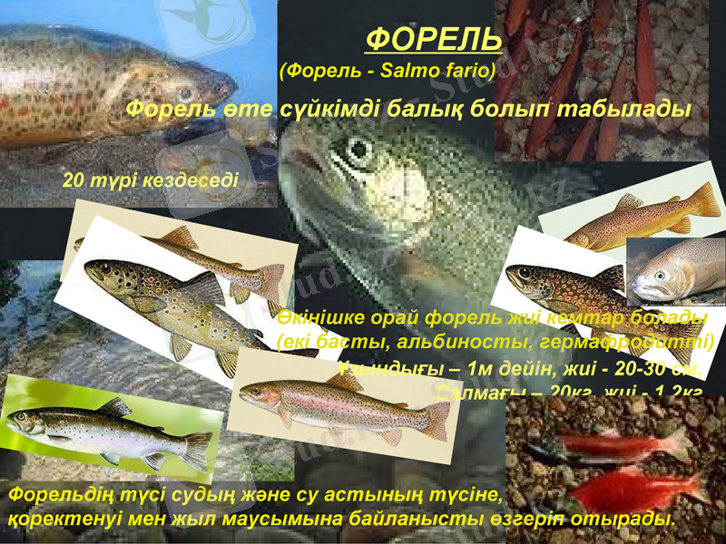 Slide 22