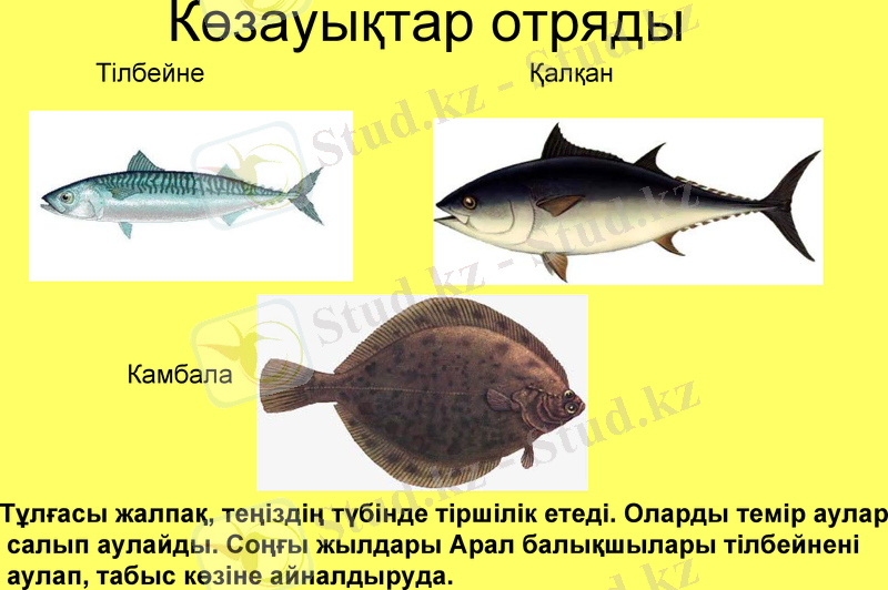 Slide 24
