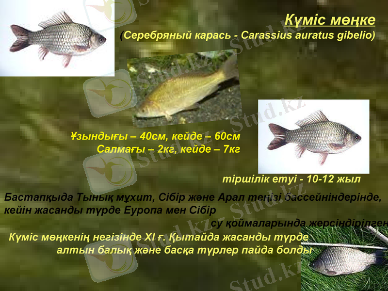 Slide 28
