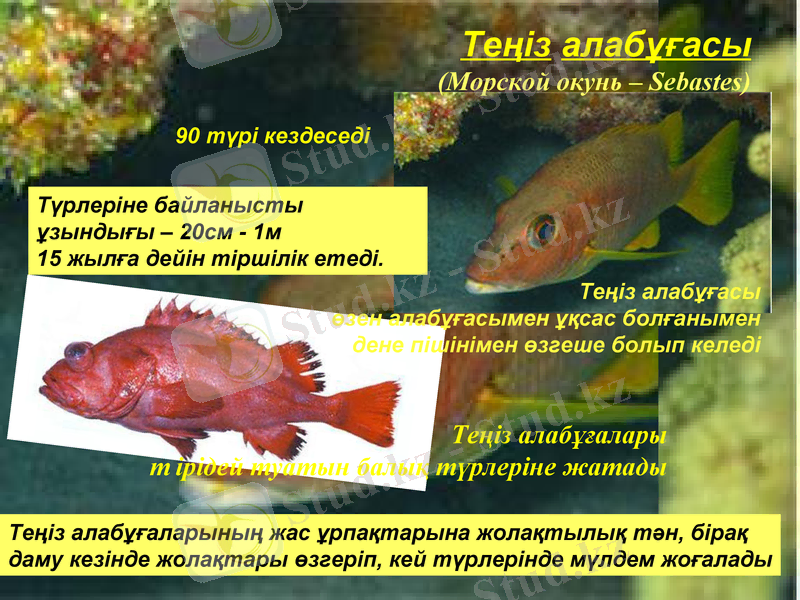 Slide 29