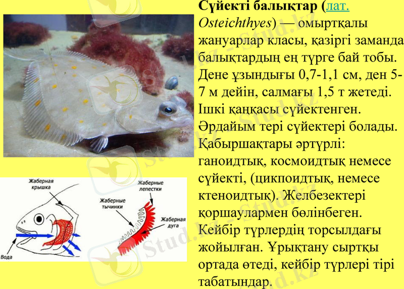 Slide 6