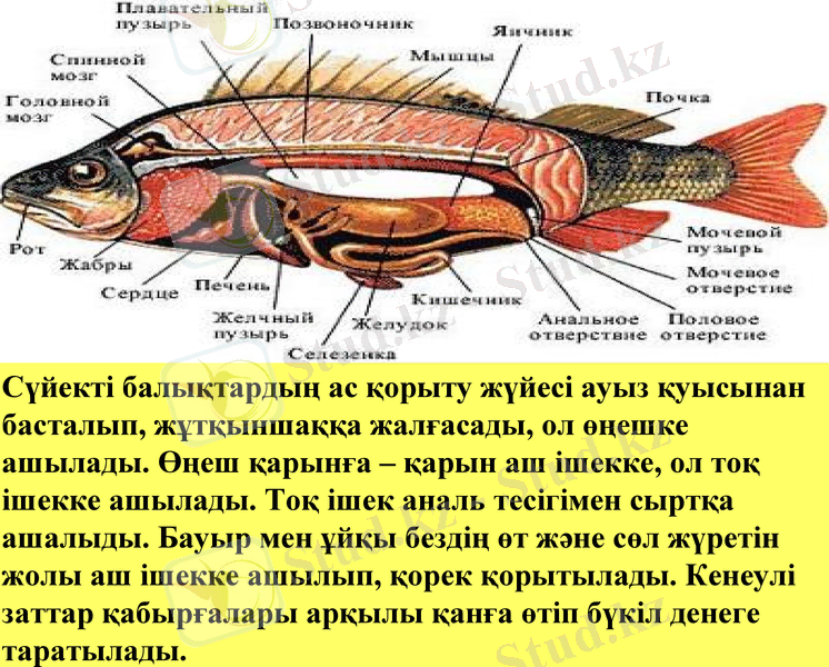 Slide 7