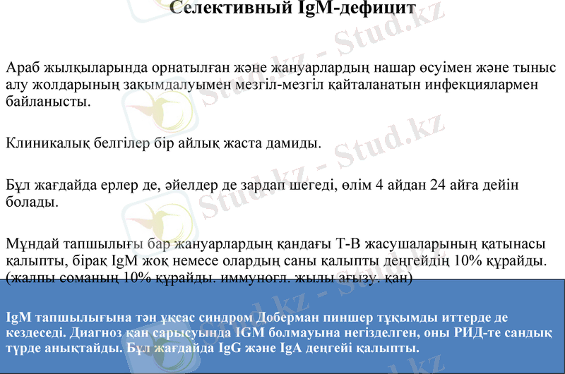 Slide 11