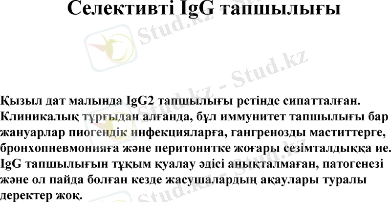 Slide 12