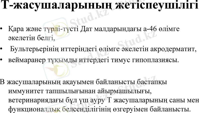 Slide 13