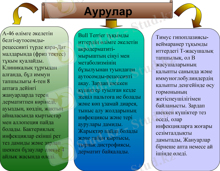 Slide 14