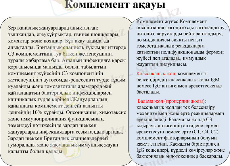 Slide 19