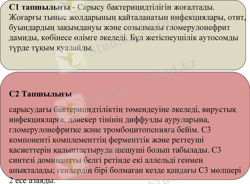 Slide 20