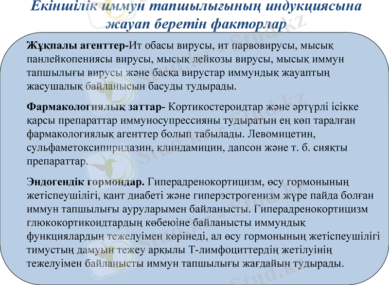 Slide 24