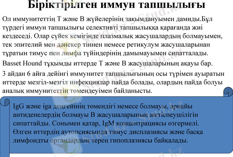 Slide 7