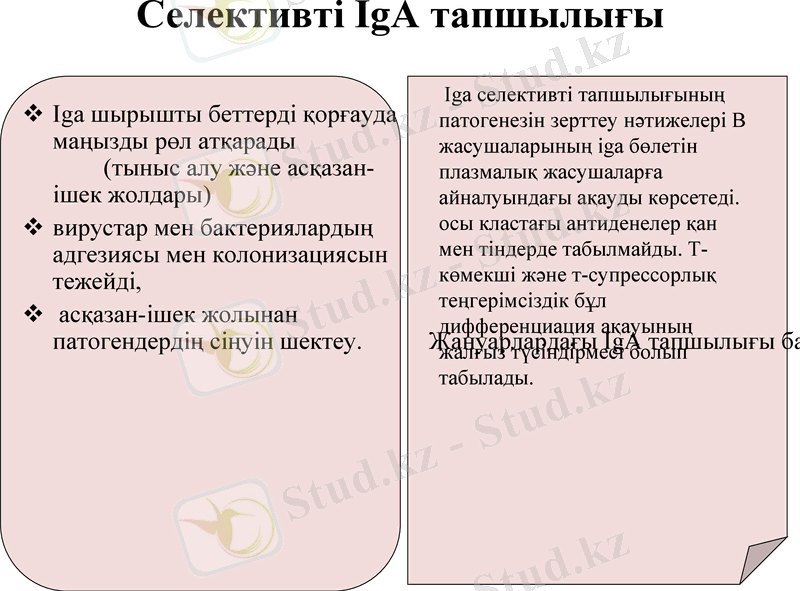 Slide 9