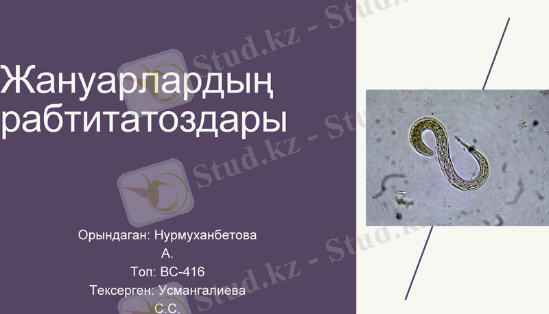 Slide 1