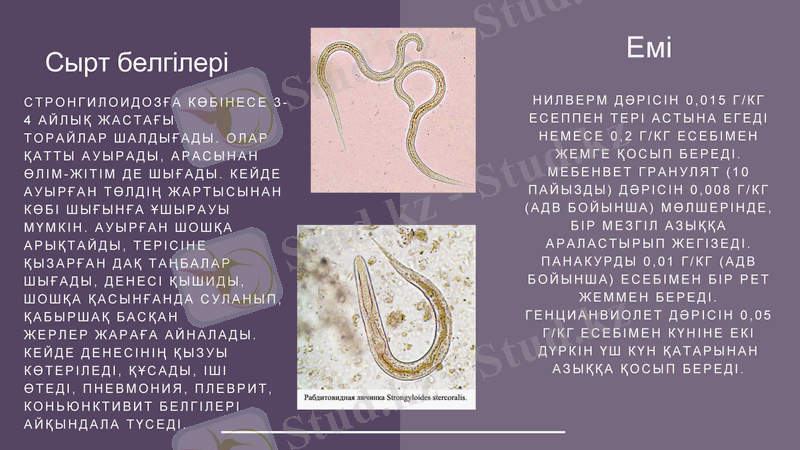Slide 10
