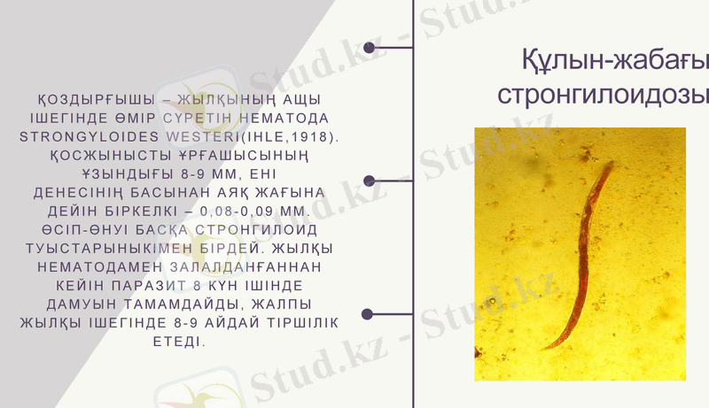 Slide 11