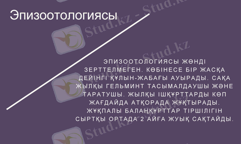Slide 12