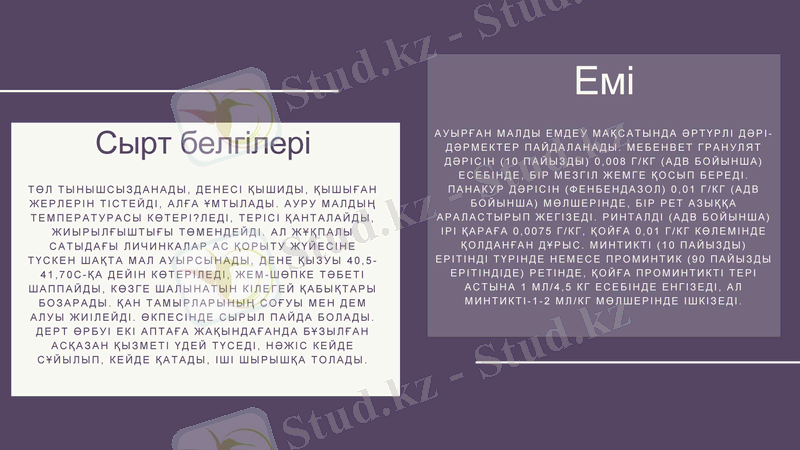 Slide 6