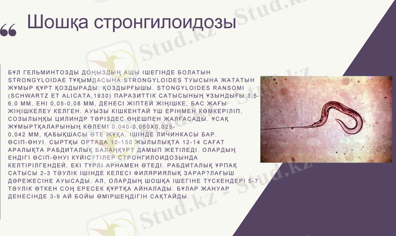 Slide 7