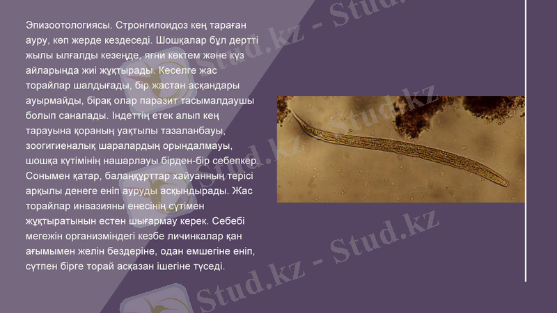 Slide 8