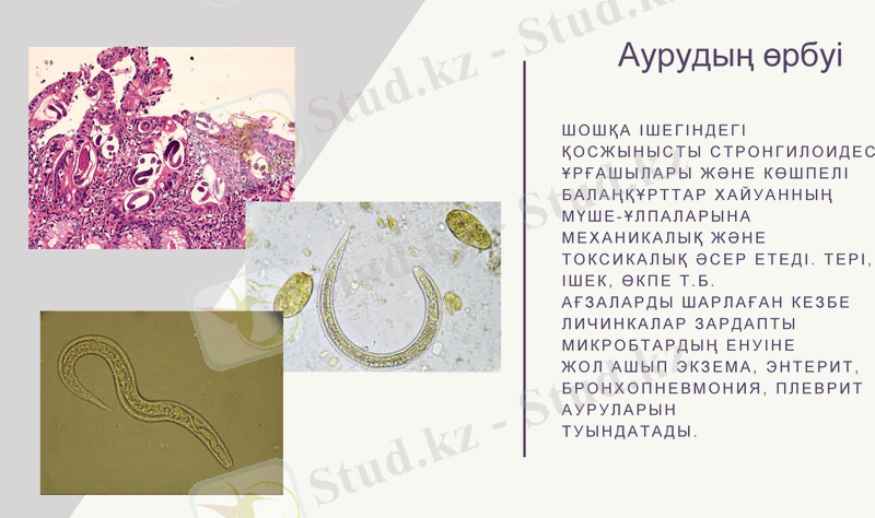 Slide 9