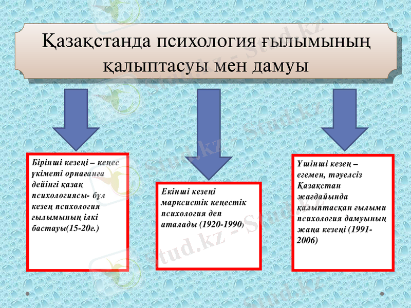 Slide 6