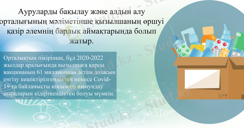 Slide 13