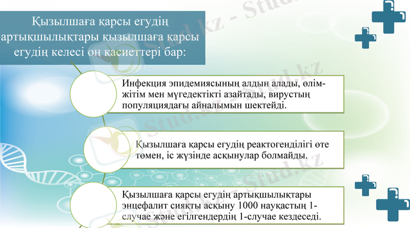 Slide 7